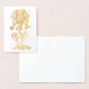 Carte Dorée Vintage Haeckel