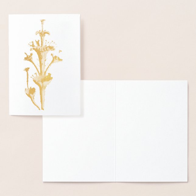 Carte Dorée Vintage Haeckel (Affichage)