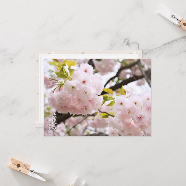 Carte Double Cherry Blossom: Oh-jochin (Devant/Arrière en situation)