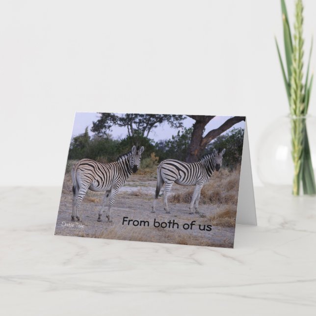 Carte Double Take Zebra Birthday Card (Devant)