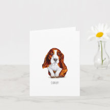 Douce Basset Hound Chin Up