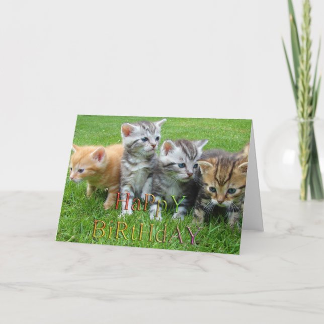 Carte Douce chiot kitties photo (Devant)