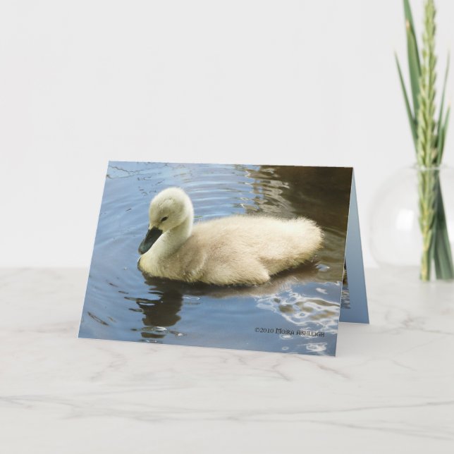 Carte Douceur d'un enfant (Devant)