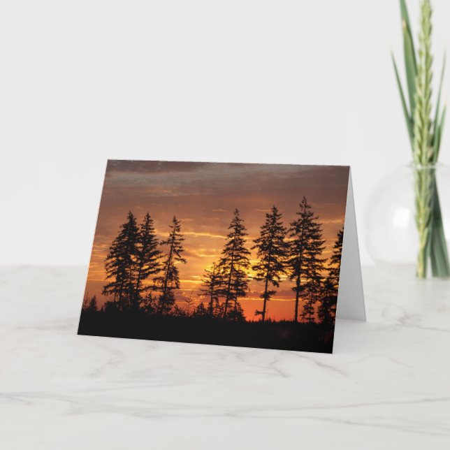 Carte Douglas Firs et Sunrise. - Art Cadre (Devant)