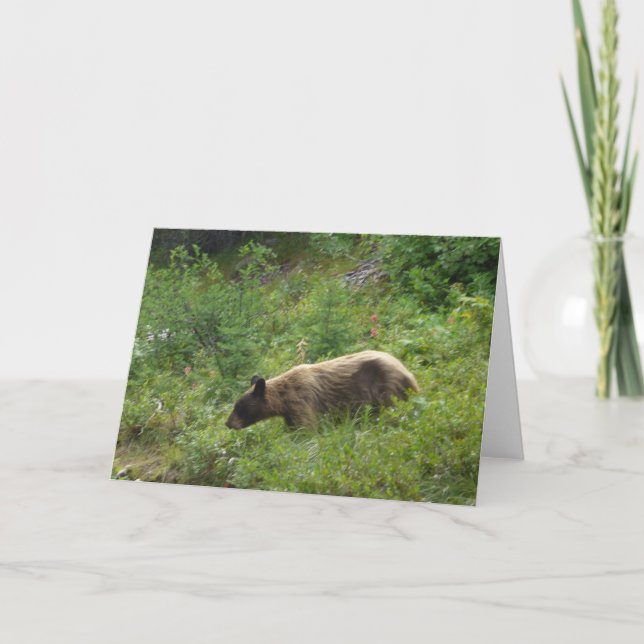 Carte d'ours (Devant)