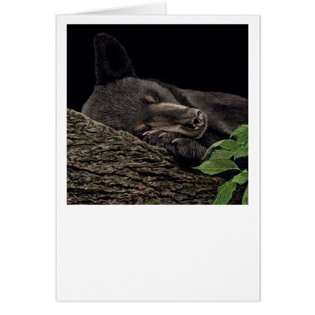 Carte d'ours "Nap Time" (Devant)