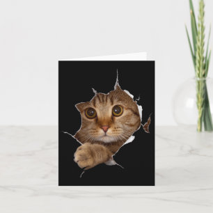 Carte Doux Kitten Torn Tissu - Drôle Amoureux des chats