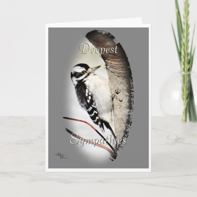 Carte Downy Woodpecker 8998- personnaliser souhaitée (Devant)