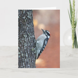 Carte Downy Woodpecker Blank Note Card