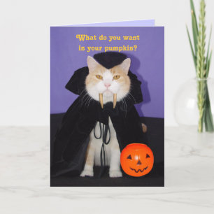 Carte Dracula Kitty