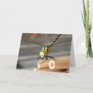 Carte Dragon