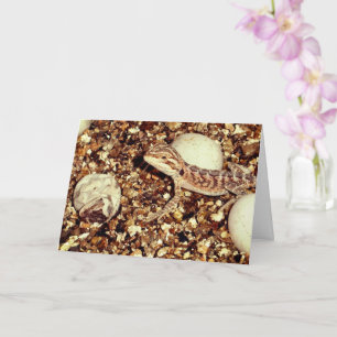 Carte Dragon à collier