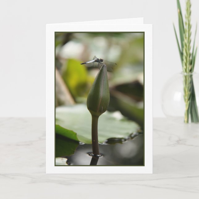 Carte Dragonfly (Devant)