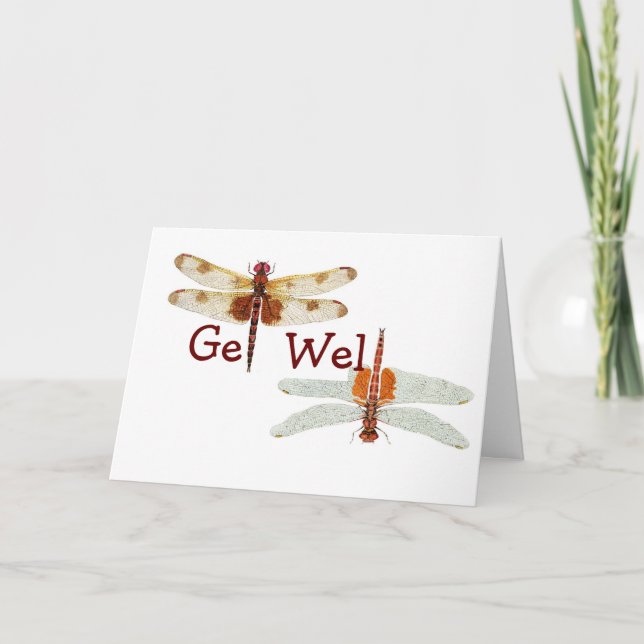 Carte Dragonfly Get Well (Devant)