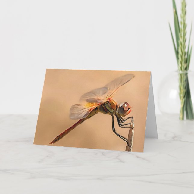 Carte Dragonfly peinte isolée contre Ecru (Devant)