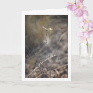 Carte Dragonfly sur Stalk Portrait
