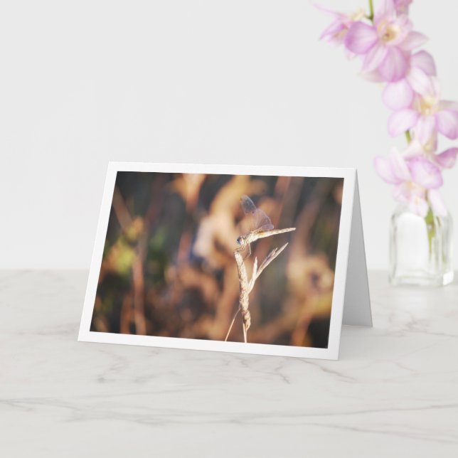 Carte Dragonfly sur Stem Portrait (Orchidée)