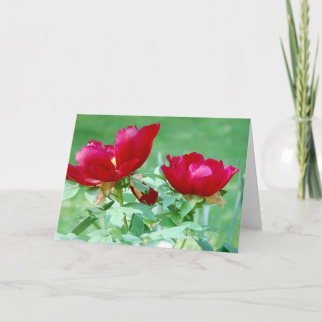 Carte Dragons, tigres et pivoines V (Devant)