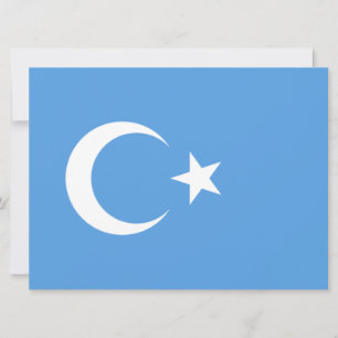 Carte Drapeau ouïghour du Turkestan oriental (Uyghurista