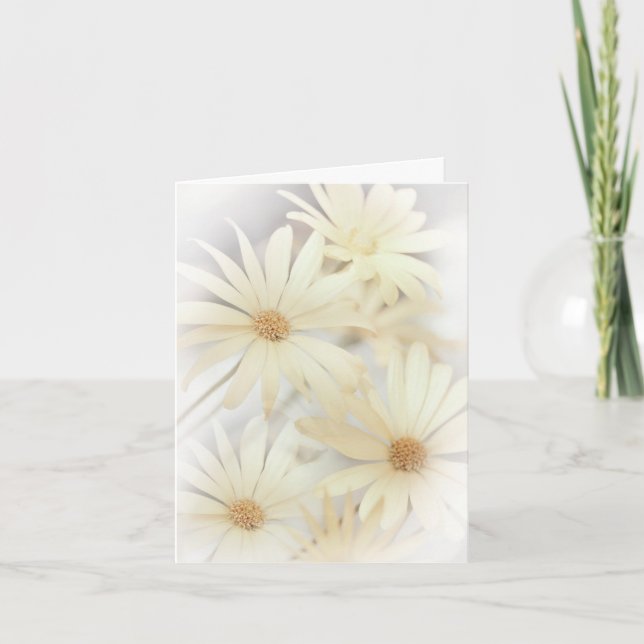 Carte 'Dreamy Daises 2' (Devant)