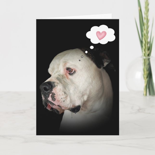 Carte Droite Bulldog (Devant)
