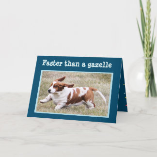 Carte drôle avec "le basset d'anniversaire "