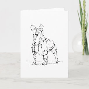 Carte Drôle Bouledogue Français – À Tes Pensées