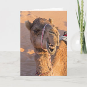 Carte Drôle Camel