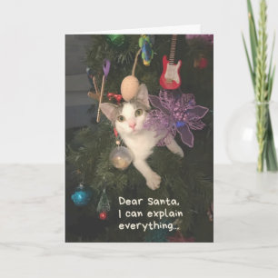 Carte Drôle Chat Père Noël Je Peux Expliquer Tout Noël