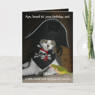 Carte Drôle chat pirate