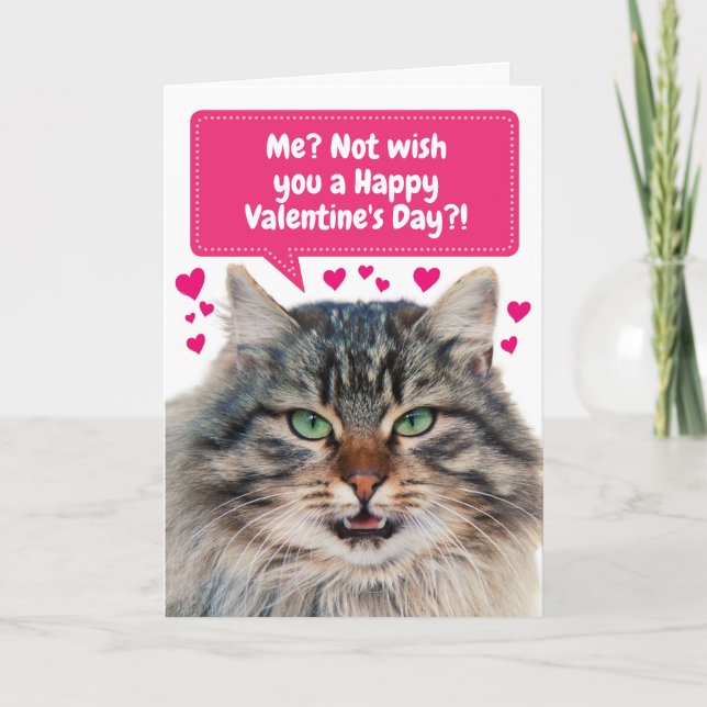 Carte Drôle chat vous souhaite un Heureuse Sainte-Valent (Devant)