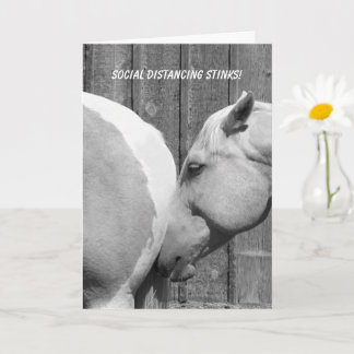 Carte Drôle Cheval pue Social Distancing You Missing