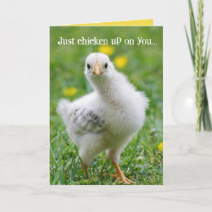 Carte Drôle Chicken Checking' Sur Vous