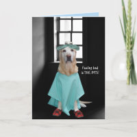 Drôle Chien/Lab Se Bien