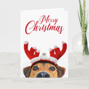 Carte Drôle Chien Mignon Cerf Antenne Bandeau Noël