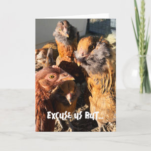 Carte Drôle Curieux Ambre Brown Poulets photo de gros pl