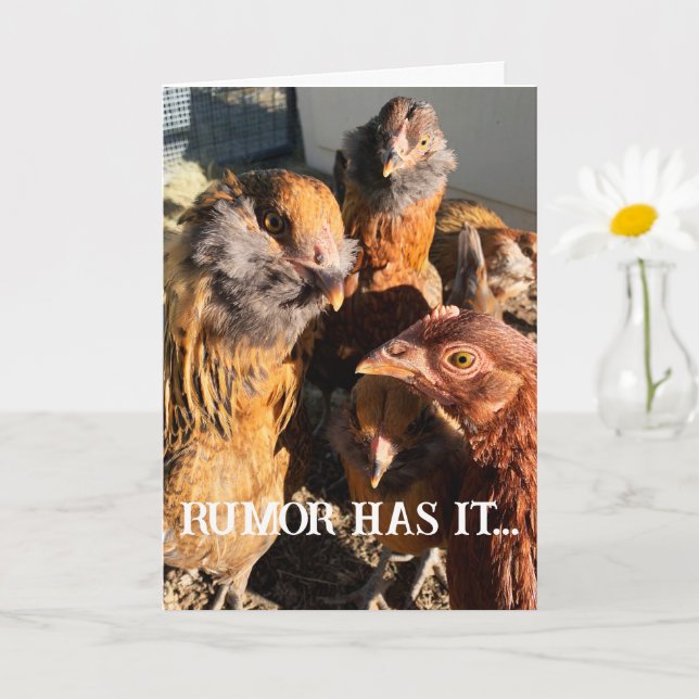 Carte Drôle Curieux Ambre Brown Poulets photo de gros pl (Petite plante)