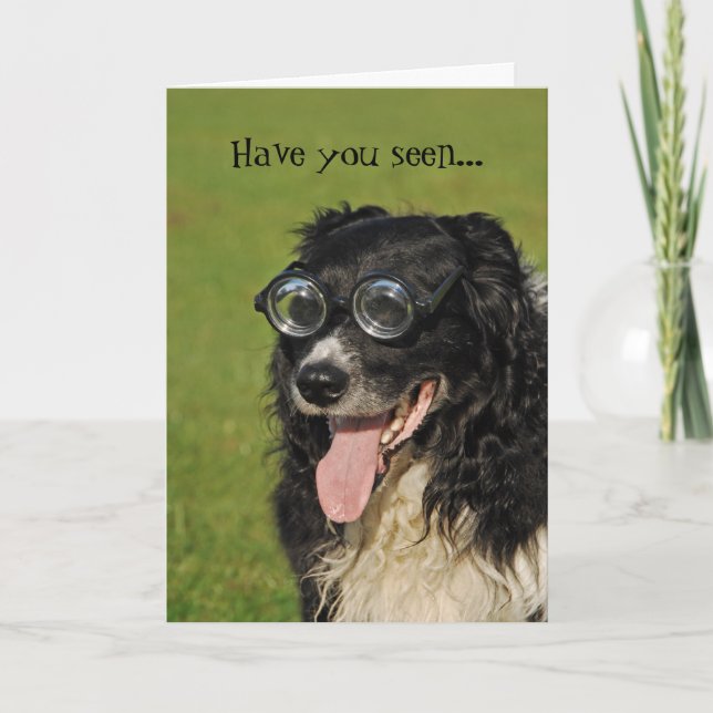 Carte drôle de Border Collie en troupeau (Devant)