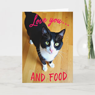 Carte drôle de chat qui aime la nourriture