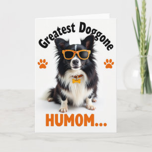 Carte drôle de chien super cool