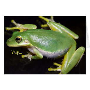 Carte drôle de grenouille