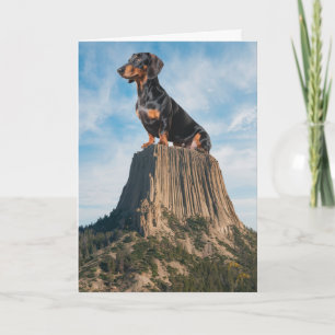 Carte drôle de la Tour du Diable avec un Dachshund