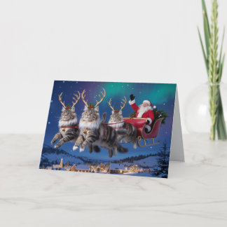 Carte Drôle de Maine Coon Renne Noël