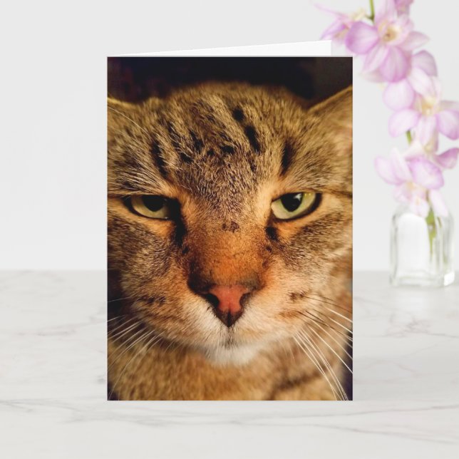 Carte Drôle Dégoûté Chat Cancer Encouragement (Orchidée)