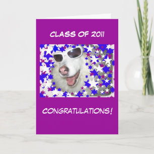 Carte Drôle Diplôme de Chien sur le pourpre