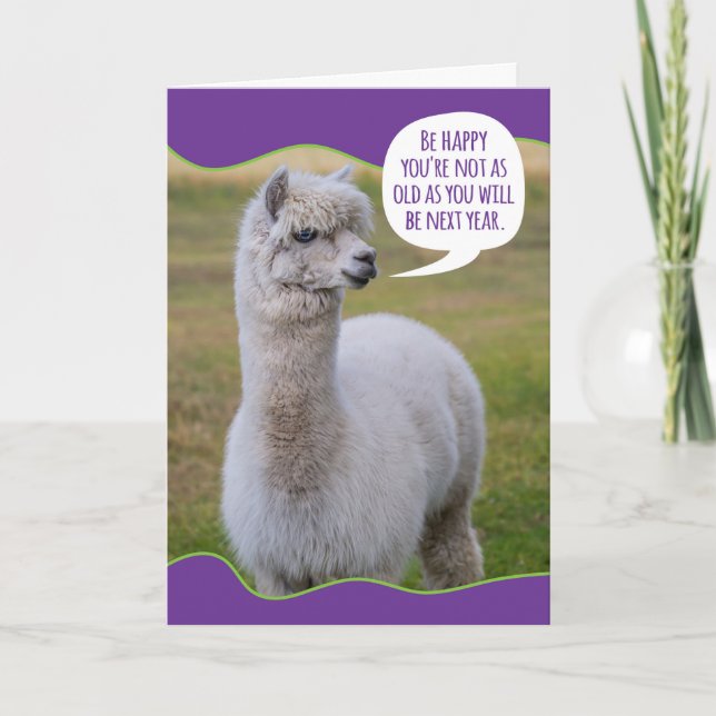 Carte Drôle Dolly Llama Anniversaire Sagesse (Devant)