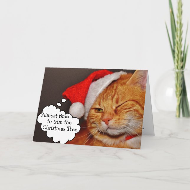 Carte drôle et mignonne de Noël avec un chat (Devant)