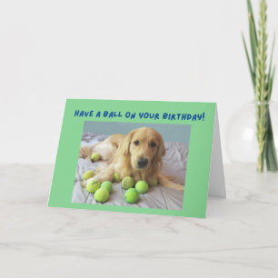 Carte Drôle Golden Retriever avec balles de tennis Anniv
