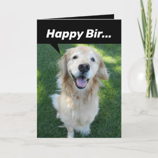Carte Drôle Golden Retriever distrait par l'écureuil