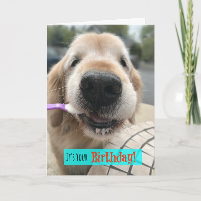 Carte Drôle Golden Retriever Traite Votre Anniversaire (Devant)